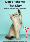 Cover of How To Overcome New Cat Anxiety, a Treloom PDF guide for new cat owners