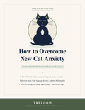 How to Overcome New Cat Anxiety: From Under the Bed to Head-Butts on the Couch