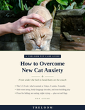 Cover of How to Overcome New Cat Anxiety by Treloom — relaxed cream cat leaning into a gentle head scratch, navy serif title on cream, PDF guide from under the bed to head-butts on the couch