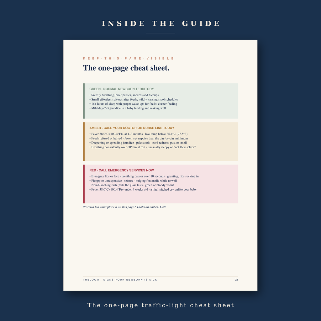 One-page cheat sheet preview from Signs Your Newborn Is Sick — green, amber and red newborn warning signs at a glance