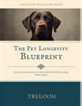 The Pet Longevity Blueprint: Cellular Health and Preventive Care for Dogs