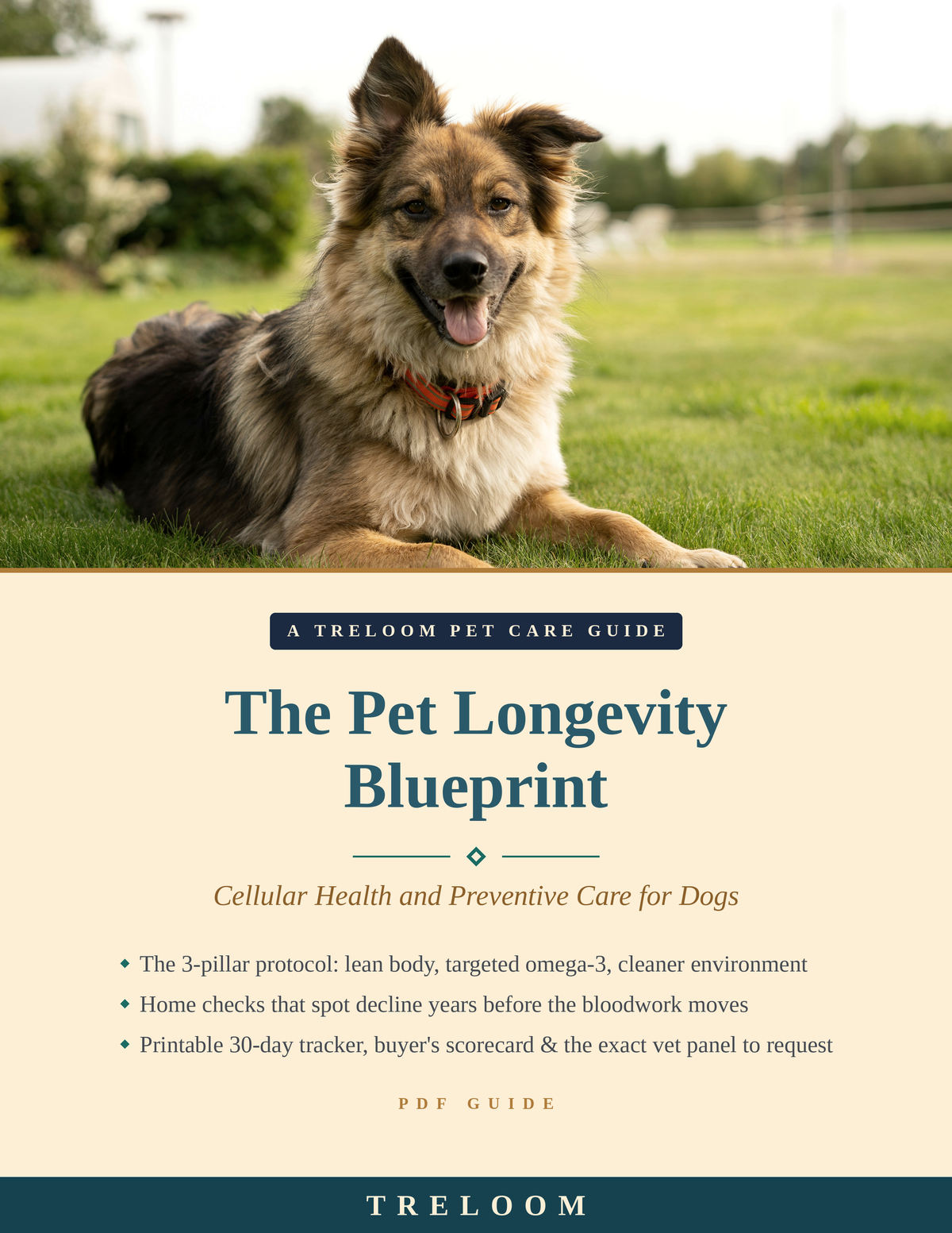 Cover of The Pet Longevity Blueprint by Treloom — happy shepherd mix lying on green grass in golden light, teal serif title on cream, PDF guide to canine cellular health and preventive care